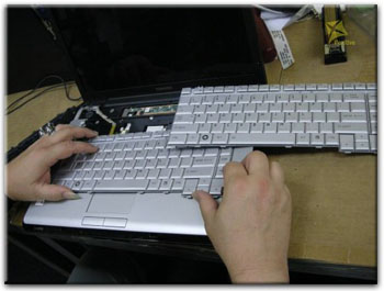 Ремонт клавиатуры ноутбука в Бобруйске
