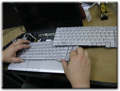 Ремонт клавиатуры на ноутбуке Toshiba в Бобруйске