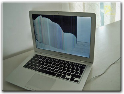 Замена матрицы Apple MacBook в Бобруйске